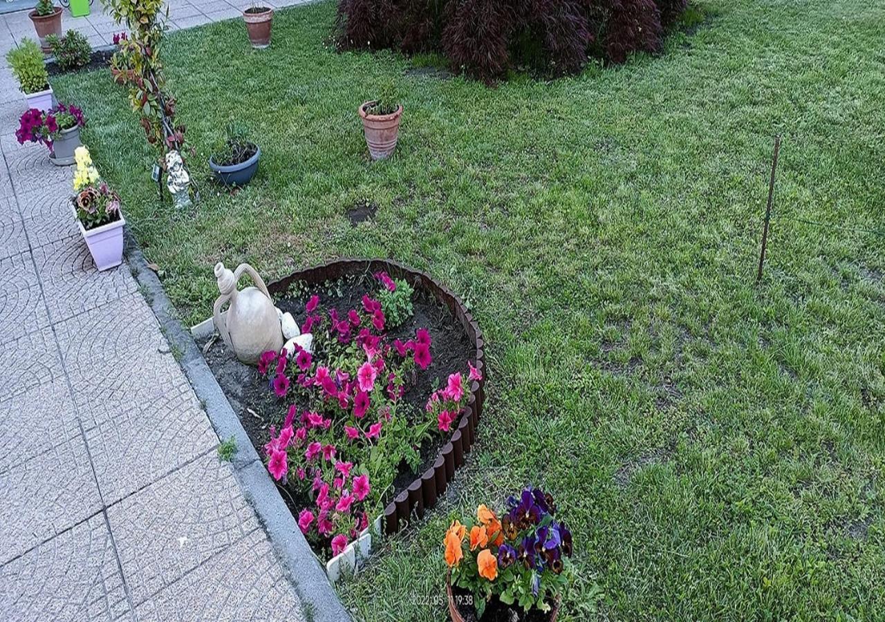 La Magnolia B&B Gassino Torinese Exterior photo